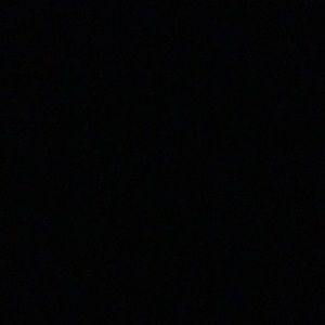 Meet your Posher, Ginger